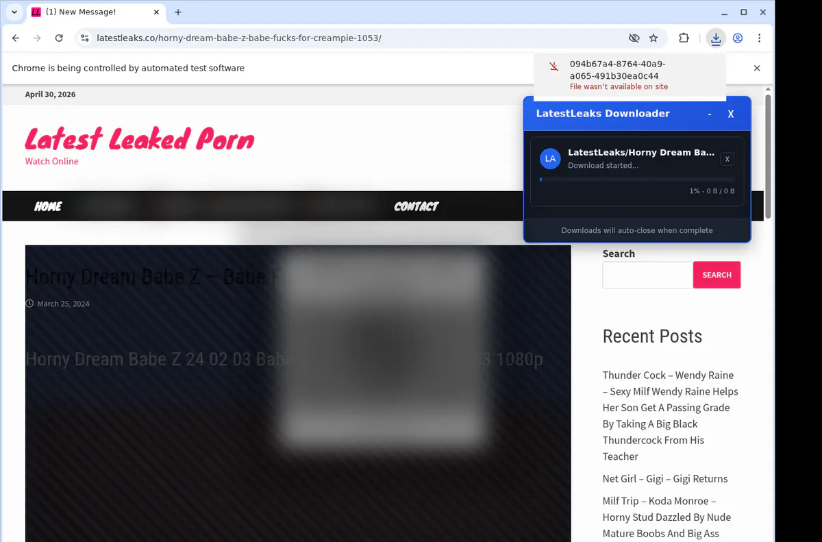 Latestleaks Video Downloader browser extension screenshot 2
